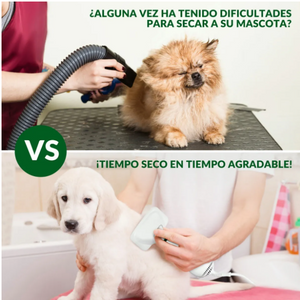 Cepillo/Secador de Pelo para Mascotas 2 en 1